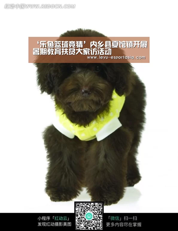 乐鱼篮球竞猜
