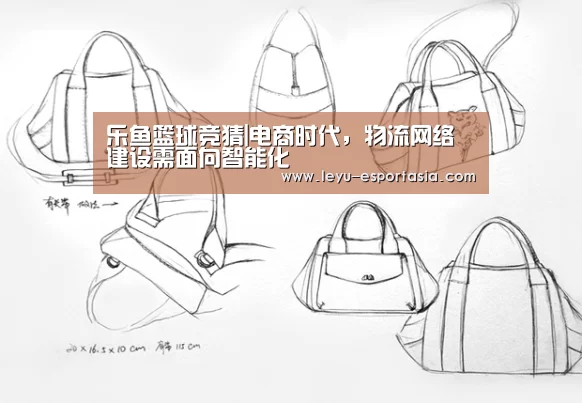 乐鱼篮球竞猜|电商时代,物流网络建设需面向智能化(图1) 乐鱼篮球竞猜